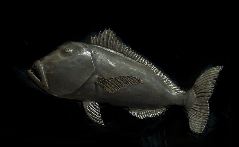 Forged iron grouper with a heavy jaw and spined dorsal fin, its dark steel surface polished smooth along the flank.