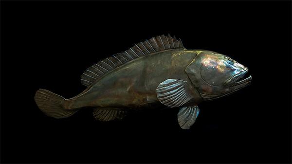 Forged iron grouper in profile, the heat-treated metal shifting through green, gold and violet.