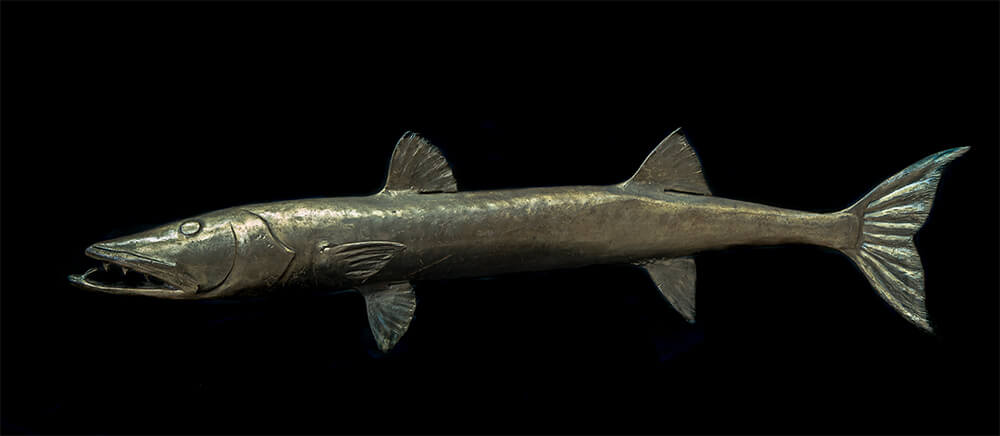 Forged iron barracuda, long and slender, its jaw open to show rows of hand-cut steel teeth.